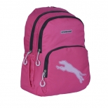 Ghiozdan GREYHOUND cu 2 compartimente si buzunar exterior ROZ 